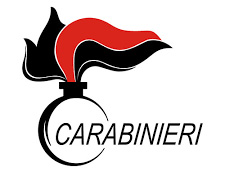 CARABINIERI REGIONE PIEMONTE